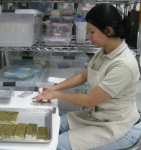 Angelica wrapping bars