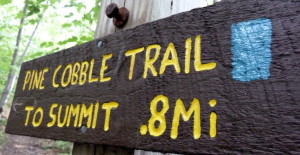 You don't actually start on the LT, you have to hike the Pine Cobble Trail first.