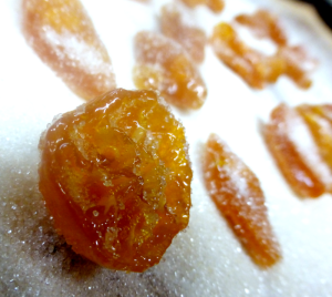 Mom Lowy's Calamondin