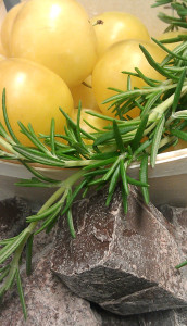 Plums, Rosemary, and Tikal