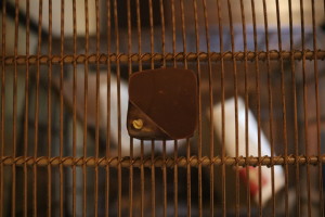 20151103141140_IMG_0329