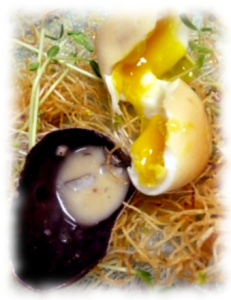 Fable at Your Table: Golden Eggs