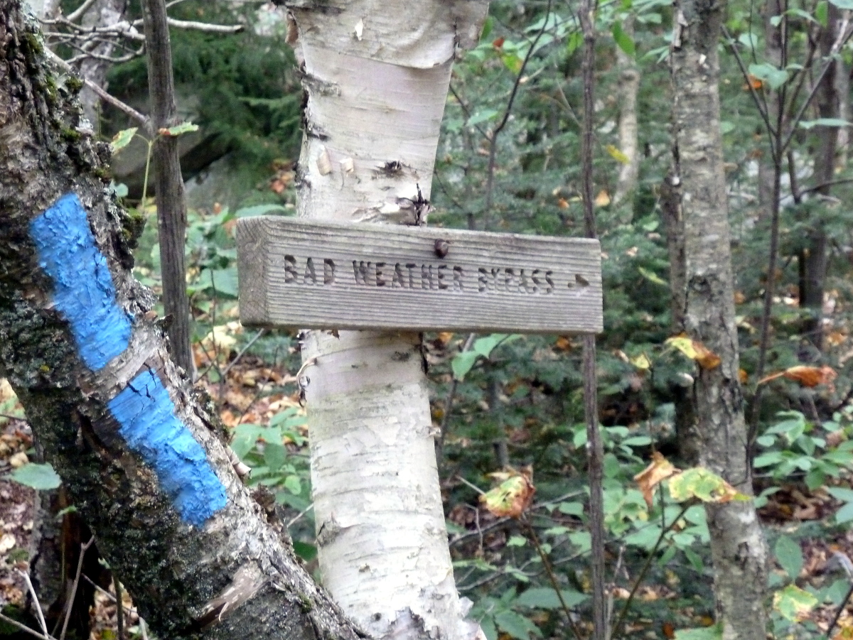 foretelling dreary drops to come