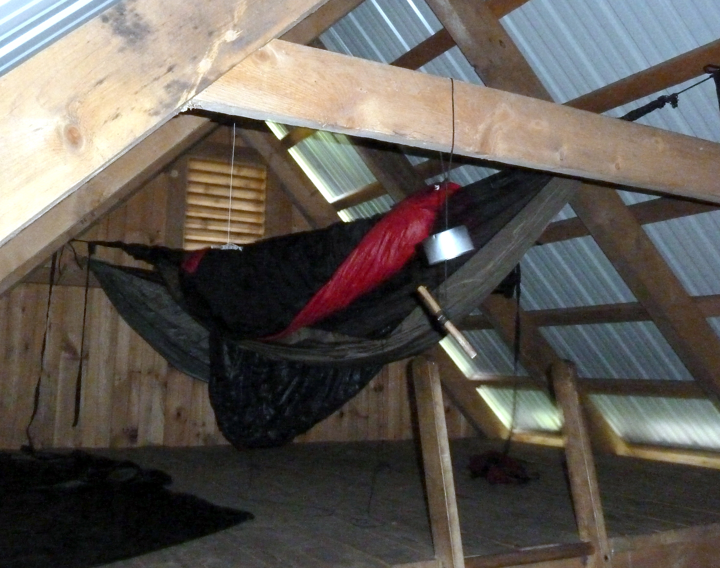 Birds in an Attic