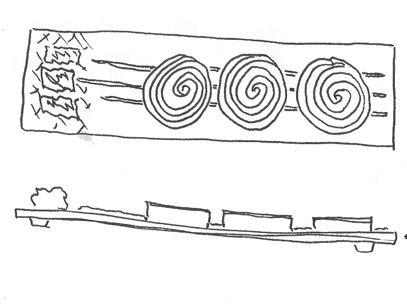 Sushi Conceptualization