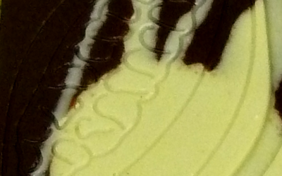 Cherry-blossom infused Vietnamese 72%