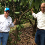 John & Mark of Mesocacao