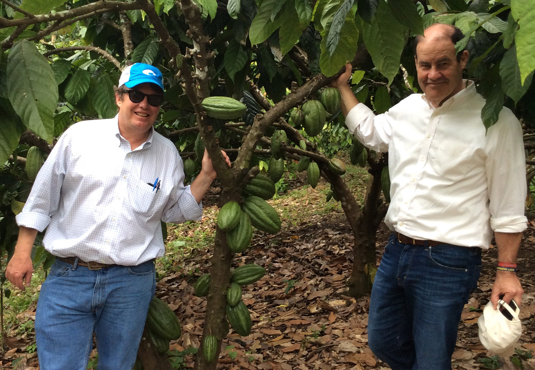 John & Mark of Mesocacao