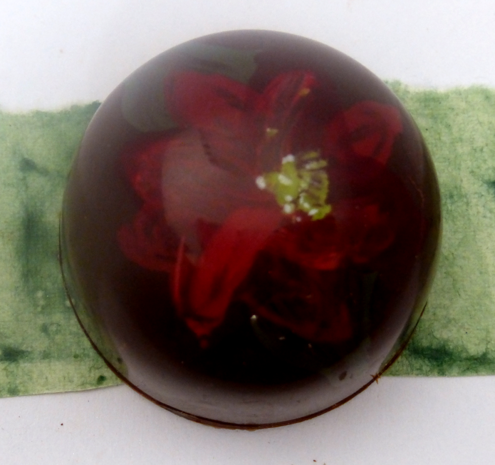 Poinsettia