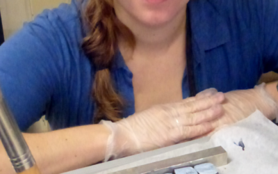 A special commission