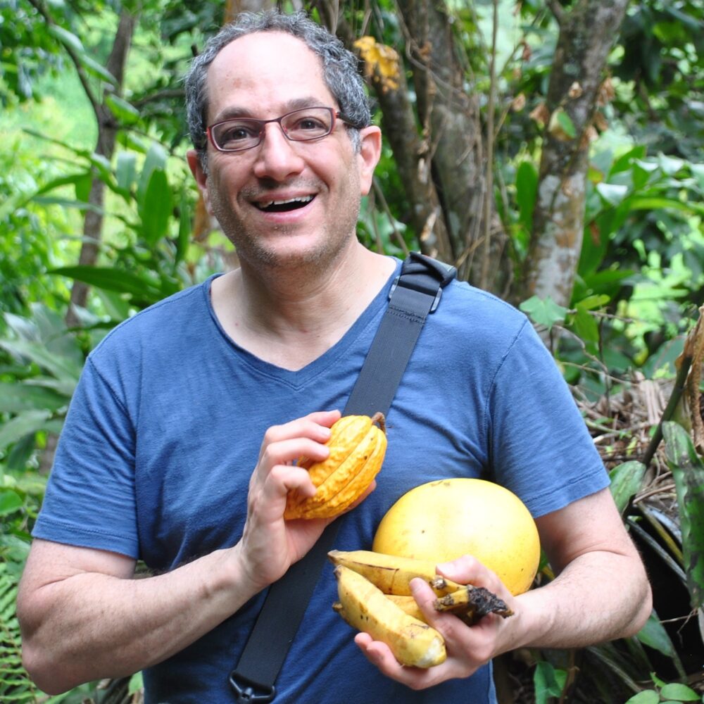 Rain Forest Fruit