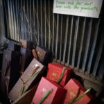 Shop Online - free shipping